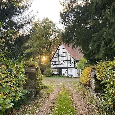 Wassermuehle Triglitz - Alleinlage Fuer Retreats, Workshops, Family & Friends Buitenkant foto