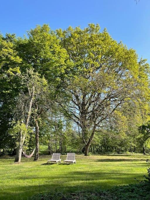 Wassermuehle Triglitz - Alleinlage Fuer Retreats, Workshops, Family & Friends Buitenkant foto