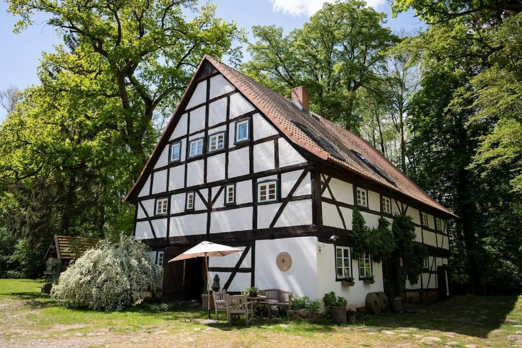 Wassermuehle Triglitz - Alleinlage Fuer Retreats, Workshops, Family & Friends Buitenkant foto