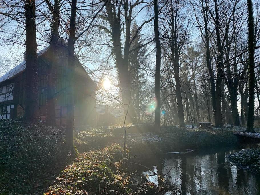 Wassermuehle Triglitz - Alleinlage Fuer Retreats, Workshops, Family & Friends Buitenkant foto