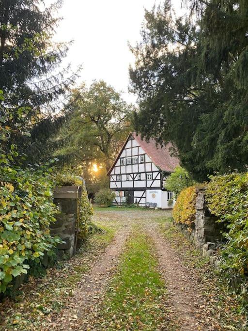 Wassermuehle Triglitz - Alleinlage Fuer Retreats, Workshops, Family & Friends Buitenkant foto