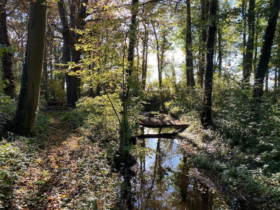 Wassermuehle Triglitz - Alleinlage Fuer Retreats, Workshops, Family & Friends Buitenkant foto