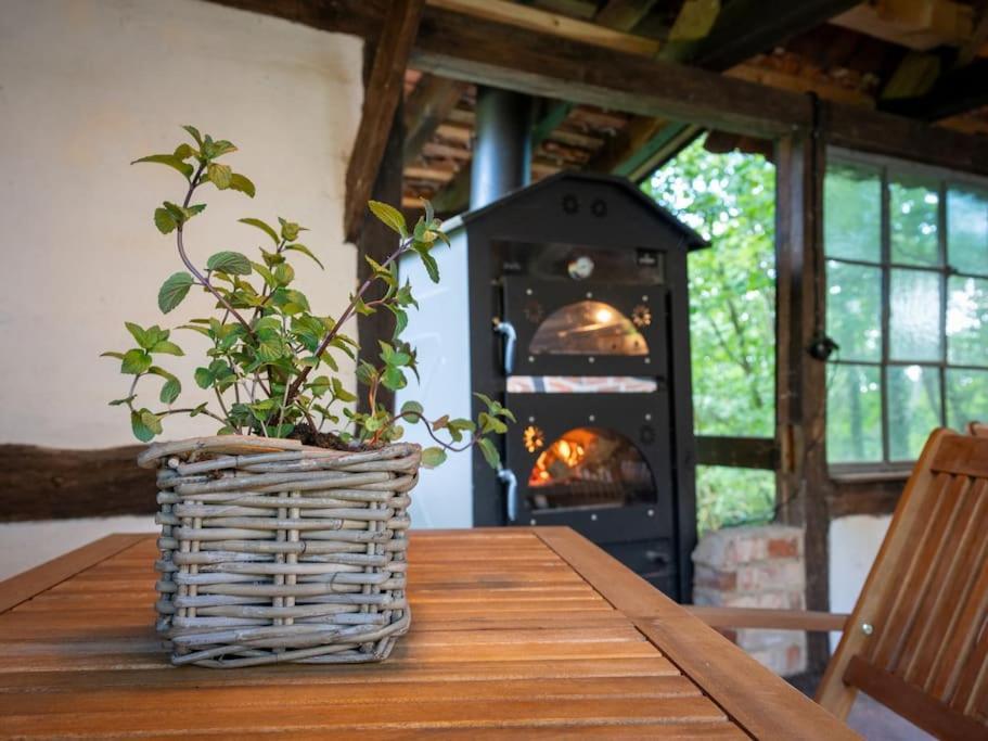 Wassermuehle Triglitz - Alleinlage Fuer Retreats, Workshops, Family & Friends Buitenkant foto