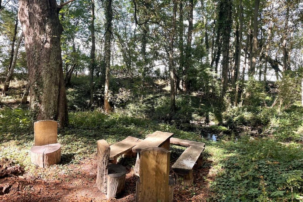 Wassermuehle Triglitz - Alleinlage Fuer Retreats, Workshops, Family & Friends Buitenkant foto