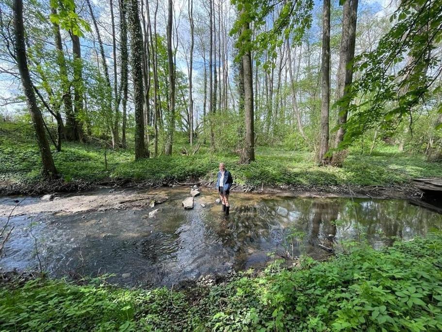 Wassermuehle Triglitz - Alleinlage Fuer Retreats, Workshops, Family & Friends Buitenkant foto